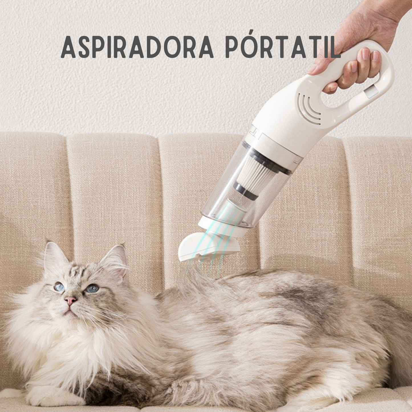 Aspiradora Pórtatil