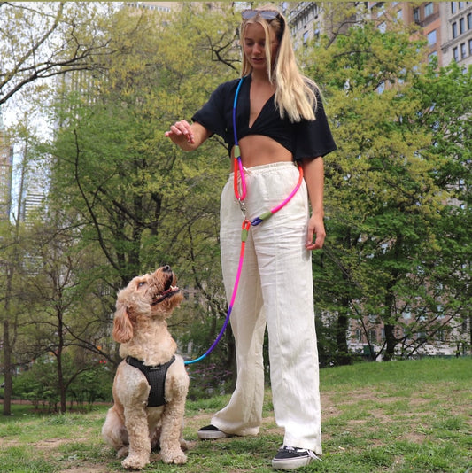 Correa para Perro Manos libres - Dog Leash